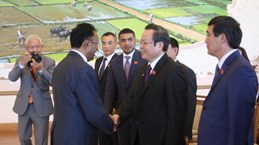 Vietnam, Madagascar beef up cooperation