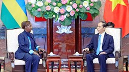 Vietnam looks to deepen relations with Rwanda, Guinea