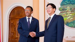 Vietnam wants to bolster traditional relations with Madagascar