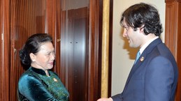 NA Chairwoman: Vietnam wants stronger ties with Georgia 