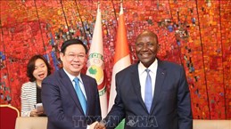 Vietnam, Ivory Coast hold huge cooperation potential: Deputy PM