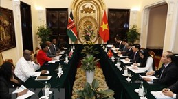 Vietnam, Kenya agree on measures to boost ties
