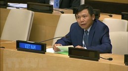 Vietnam, Indonesia call for comprehensive approach to issues in Mali 