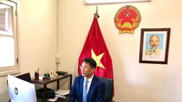 Vietnam, Barbados seek ways to foster bilateral ties