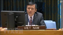 Vietnam urges Mali to increase national conciliation, realise transition roadmap
