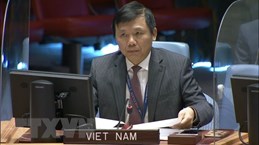 Vietnamese ambassador urges end to all military actions in Yemen