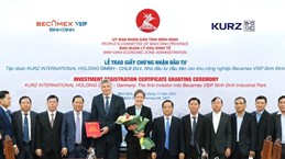 First investor approved for joint VSIP in Binh Dinh