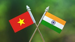Vietnamese, Indian leaders exchange congratulatory letters