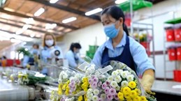 Vietnam to resume cut flower exports to Australia 