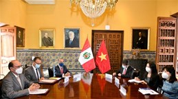 Vietnam, important Southeast Asian partner of Peru