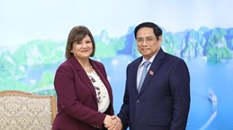 Prime Minister receives ambassadors of Egypt, Mongolia