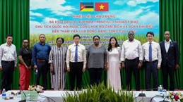 Mozambican guests visit Mekong Delta rice research institute