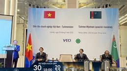 Vietnamese, Turkmenistan firms enhance business cooperation