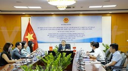 Vietnam ready to beef up economic ties with Peru: Deputy Minister