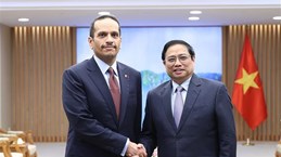 Vietnam seeks stronger cooperation with Qatar in multiple areas