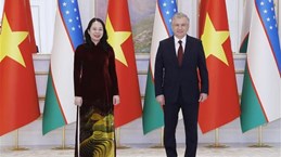 Vietnamese Vice President meets with foreign leaders in Kazakhstan