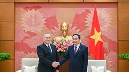 Vietnam treasures ties with Romania: NA Vice Chairman