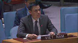 Vietnam emphasises consistent stance on Palestine issue