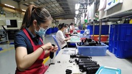 Domestic firms in Dong Nai set new record in export turnover