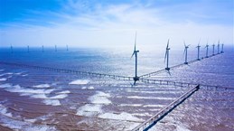 Vietnam offshore wind power sparks influx of foreign investment: Nikkei Asia