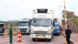 Quang Ninh: Cross-border trading with China resumed after Tet