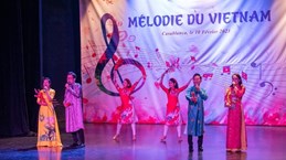 Vietnamese art, culture spotlighted in Morocco