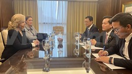  Deputy FM meets with Honourary Consul of Vietnam in Paraguay
