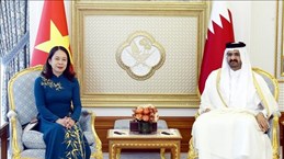 Vice President holds talks with Deputy Amir of State of Qatar