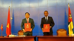Huge potential for Vietnam - Mozambique cooperation: official