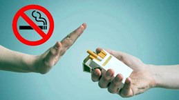 World No-Tobacco Day: Ensuring rights to smoke-free environment  