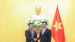 Vietnam, Chile push forward trade 