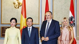 President Vo Van Thuong meets governor of Burgenland state of Austria
