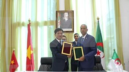 Vietnam, Algeria’s localities set up twinning ties