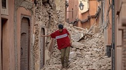  Morocco earthquake: No Vietnamese victim reported so far: Ambassador