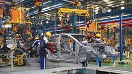 HCM City’s industrial production regains attractiveness to investors