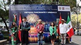  Vietnam's beauty, achievements showcased at Mexico City exhibition