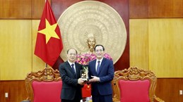 Vietnam, China push up cross-border trade