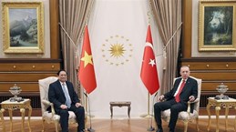 Vietnam, Türkiye issue joint statement on future cooperation