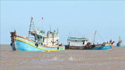 Ben Tre local fishermen better aware of legal operating regulations