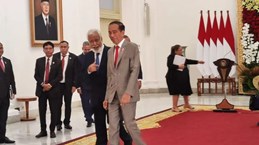 Indonesia, Timor-Leste seek solutions to border issues