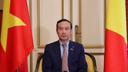 FM’s trip to promote Vietnam’s ties with EU, Belgium: Ambassador