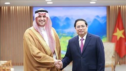 2023 - a highlight in Vietnam-Saudi Arabia relations: Ambassador