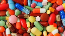 Vietnam, Algeria step up pharmaceutical cooperation