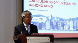 Business meeting highlights business, investment cooperation opportunities for Vietnam, Hong Kong 
