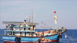 Ninh Thuan, Ca Mau work hard to combat IUU fishing