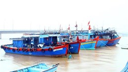 Quang Binh strives to combat IUU fishing