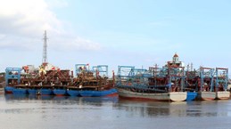 Nam Dinh strives to fight IUU fishing