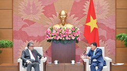 Vietnam treasures friendship, cooperation with Armenia: NA official