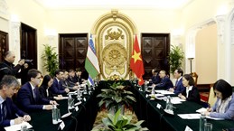 Vietnamese, Uzbek foreign ministers hold talks