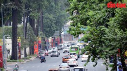 Green-lined roads cool scorching hot days in Ho Chi Minh City